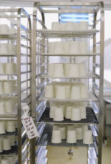 I nostri compressori e sistemi trattamento aria - ATE S.R.L.