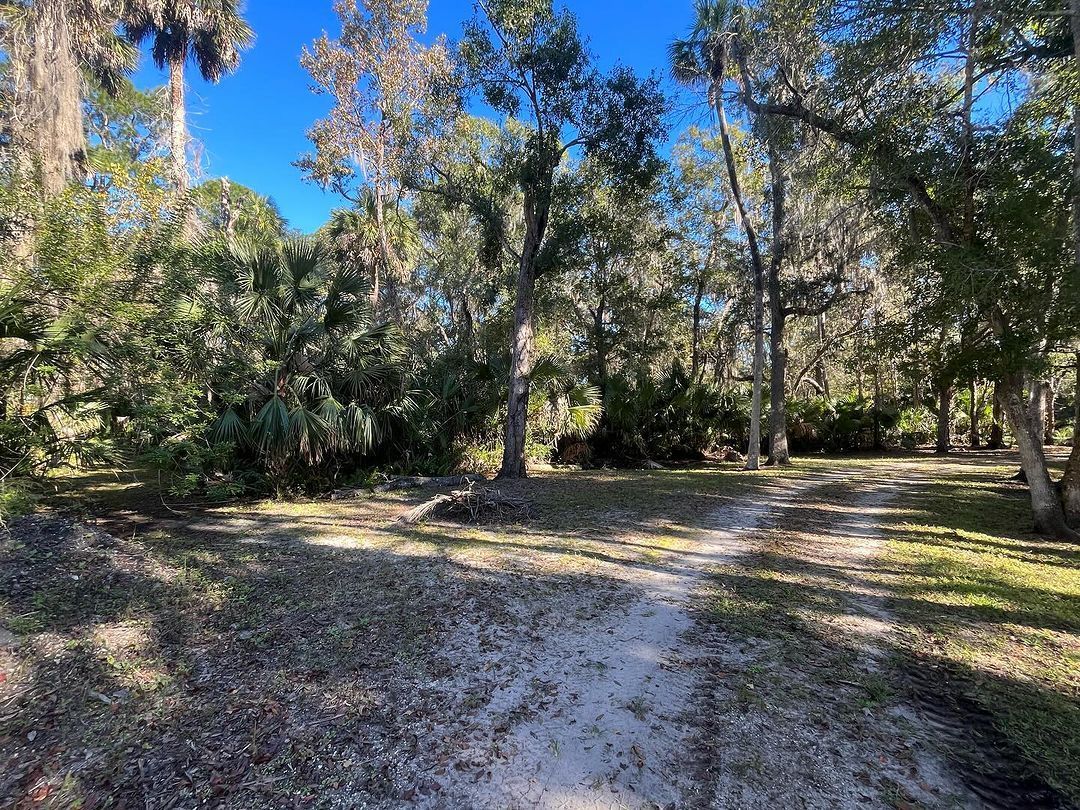 Land Clearing in Volusia County