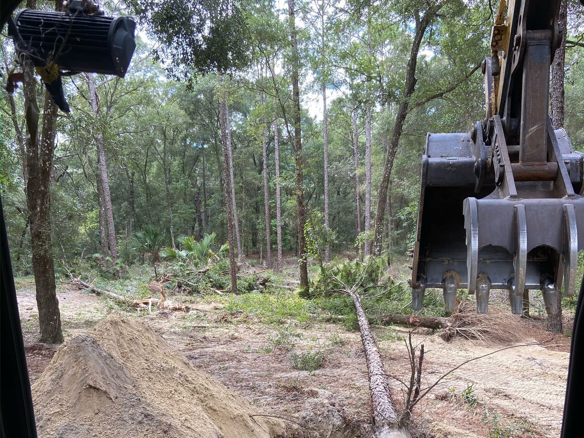 Huge Crane for Tree Removal