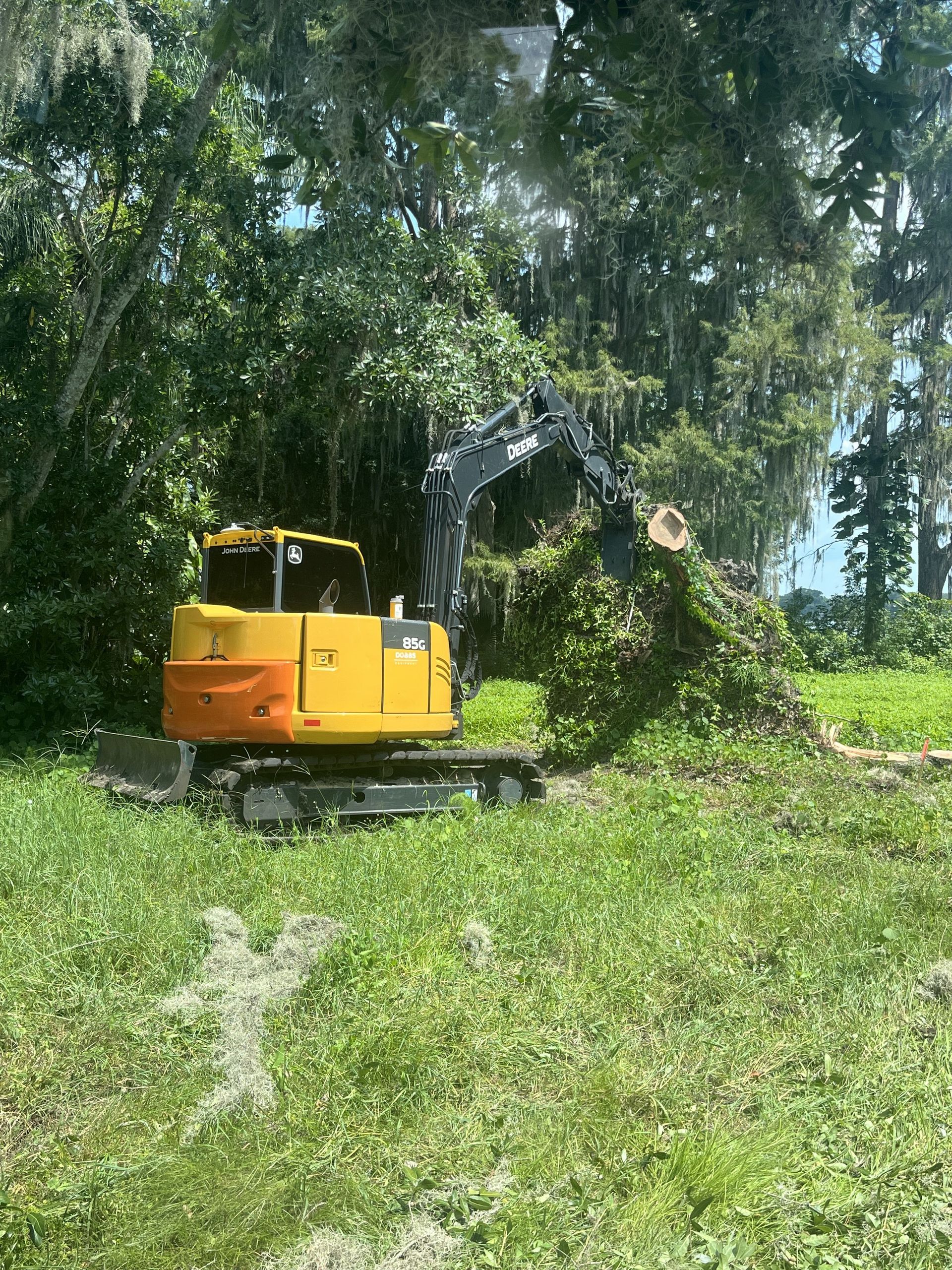 machine clearing land and taking out trees