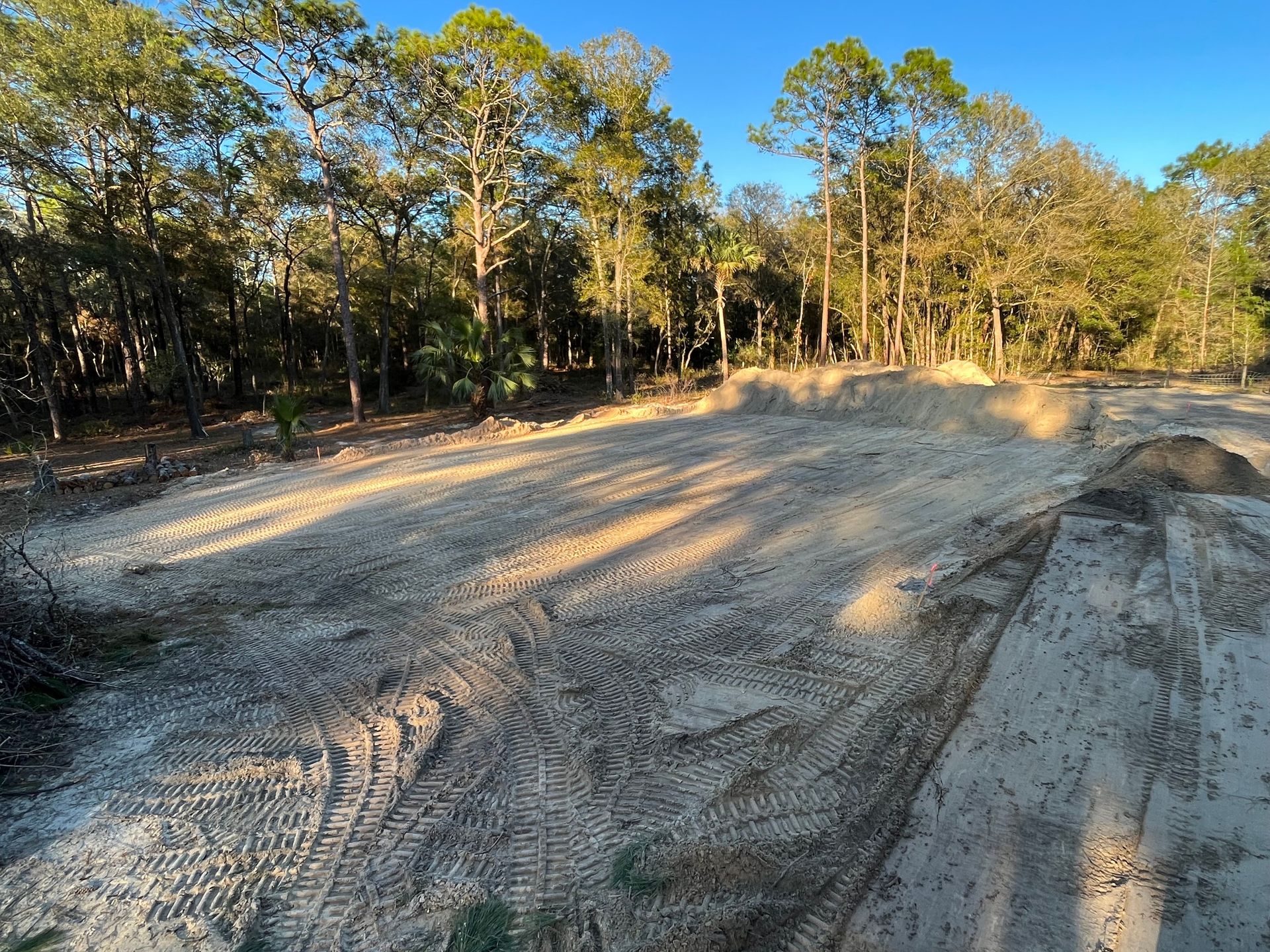A dirt road in the middle of a forest with trees in the background.