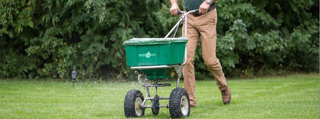 Lawn Perfection