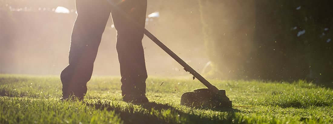 Lawn Care Experts in Michigan