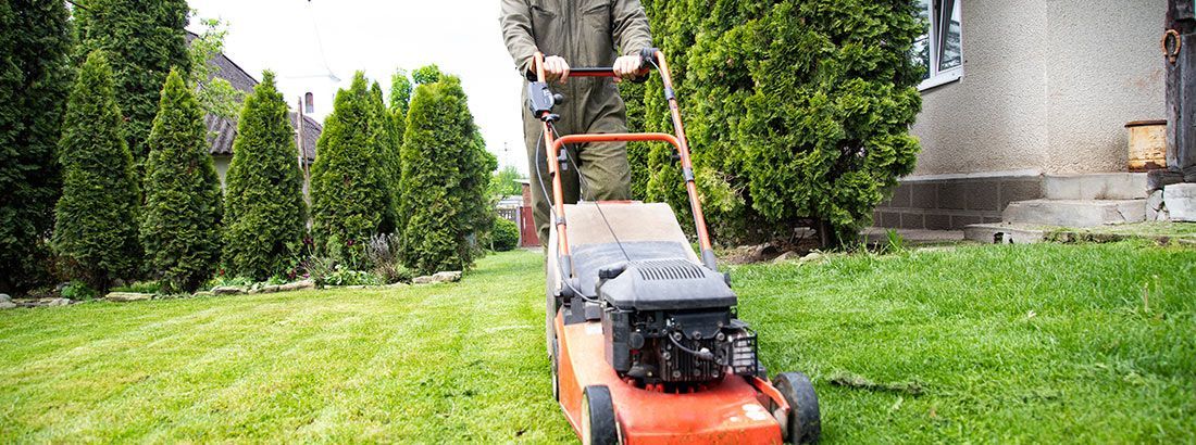 Lawn Care Partners in Michigan