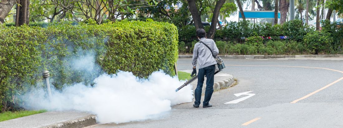 Outdoor Pest control in Shelby