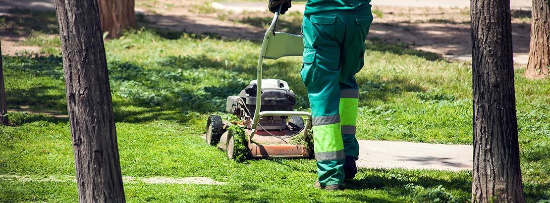 lawn care