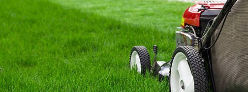 Visionary Fertilization