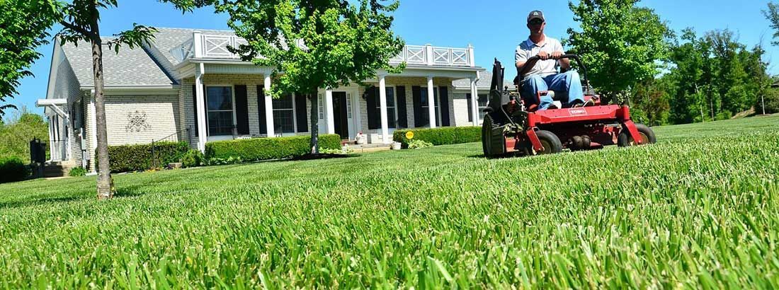 lawn care