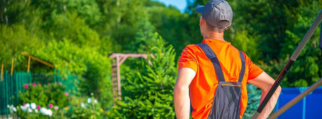 Best Tree and Shrub Service in Shelby Township