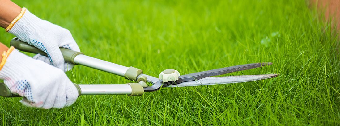 Lawn Fertilization Service in Shelby Township, MI