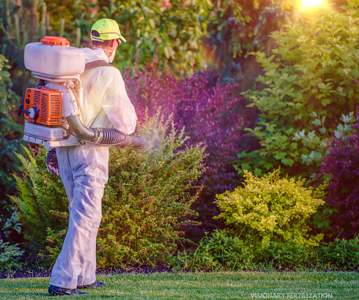 A man is spraying a lawn with a backpack sprayer.