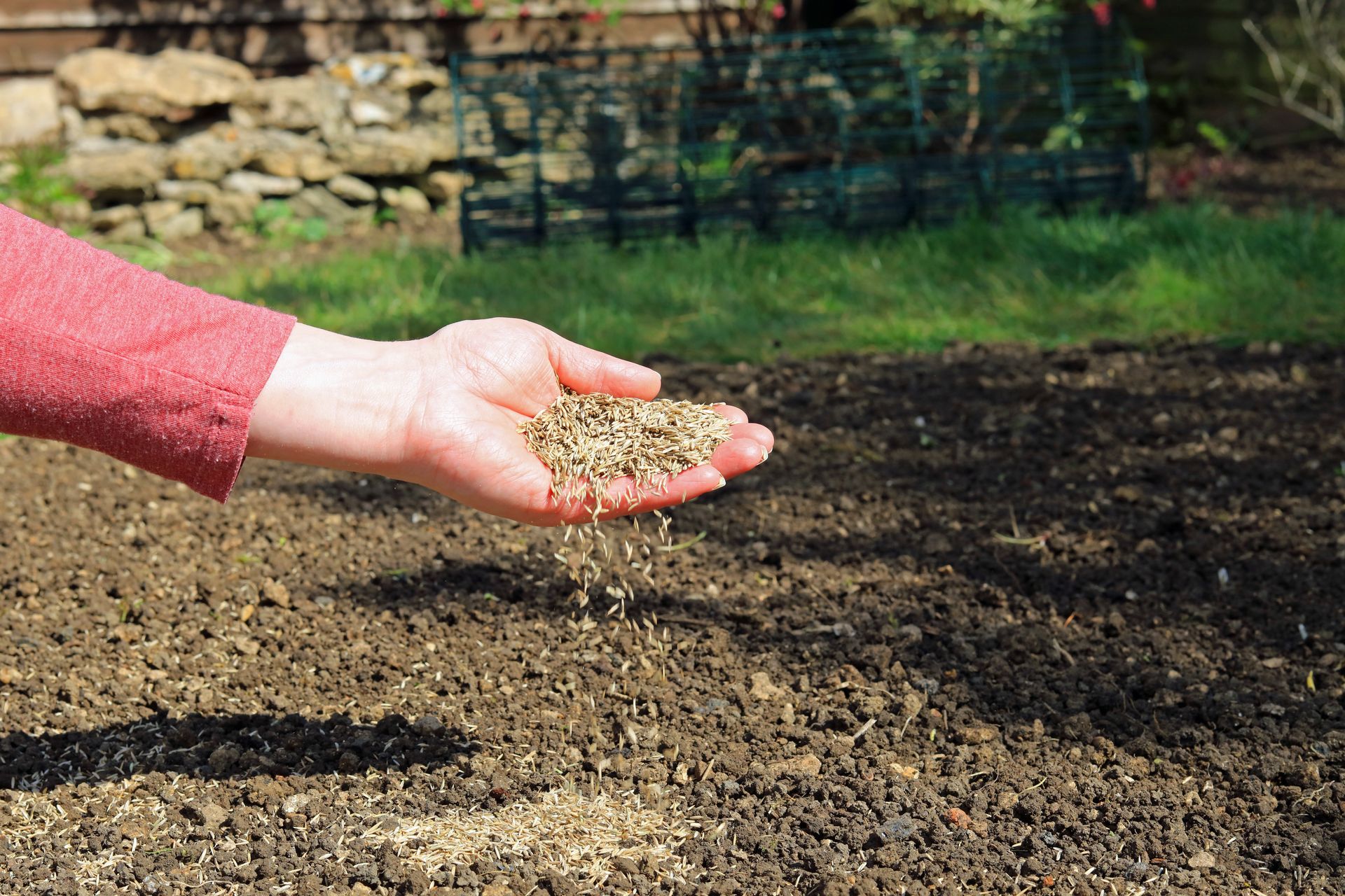When's the Best Time To Plant Grass Seed | Michigan