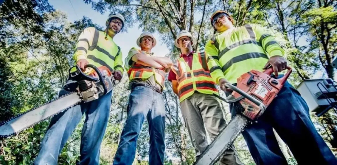 Four utility workers in safety vests and hard hats using chainsaws outdoors among trees