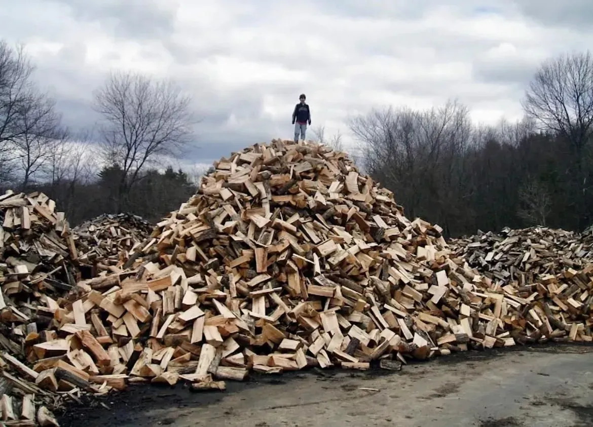 Person standing atop a large pile of chopped firewood under a cloudy sky