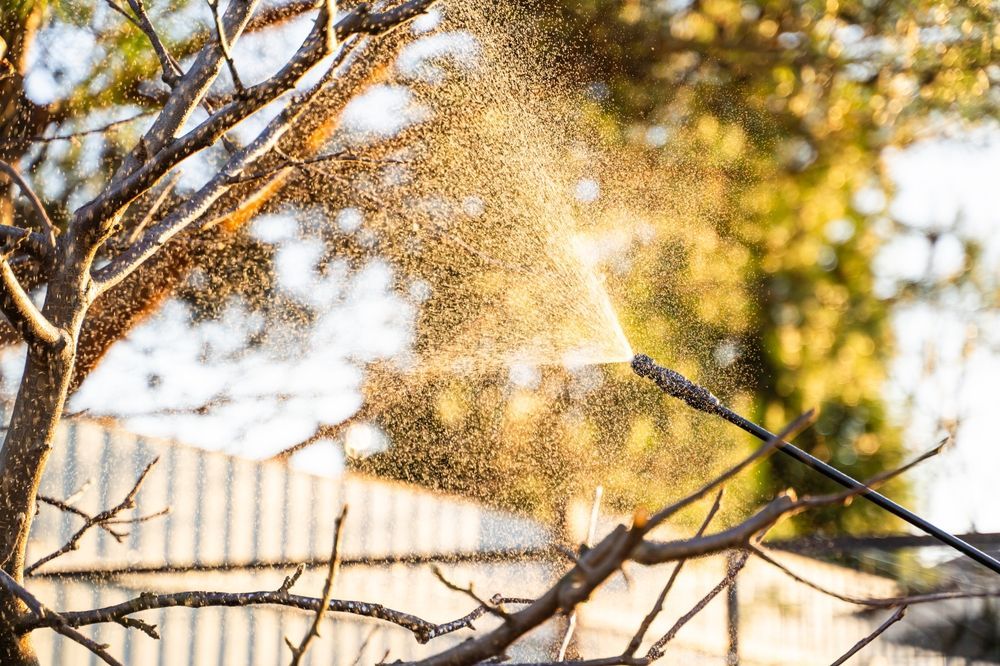 Water sprinkling over tree branches near a fence in bright sunlight