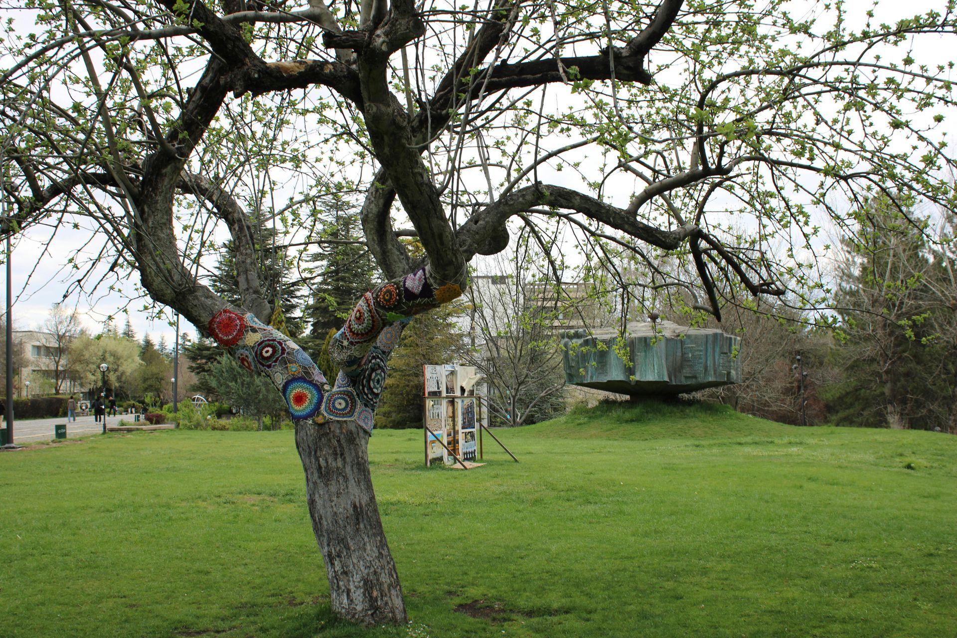 A tree in a grassy yard with colorful circular targets on its trunk and a wooden bridge in the background