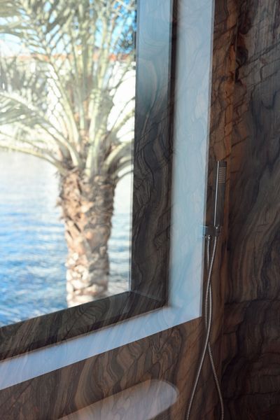 Palm tree reflected in a window, with water and shoreline visible outside.
