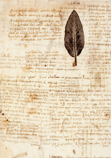 Leonardo da Vinci
