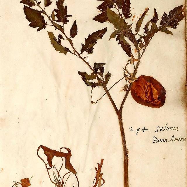En tibi herbarium