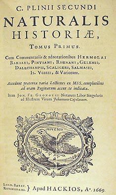 Pliny the Elder
