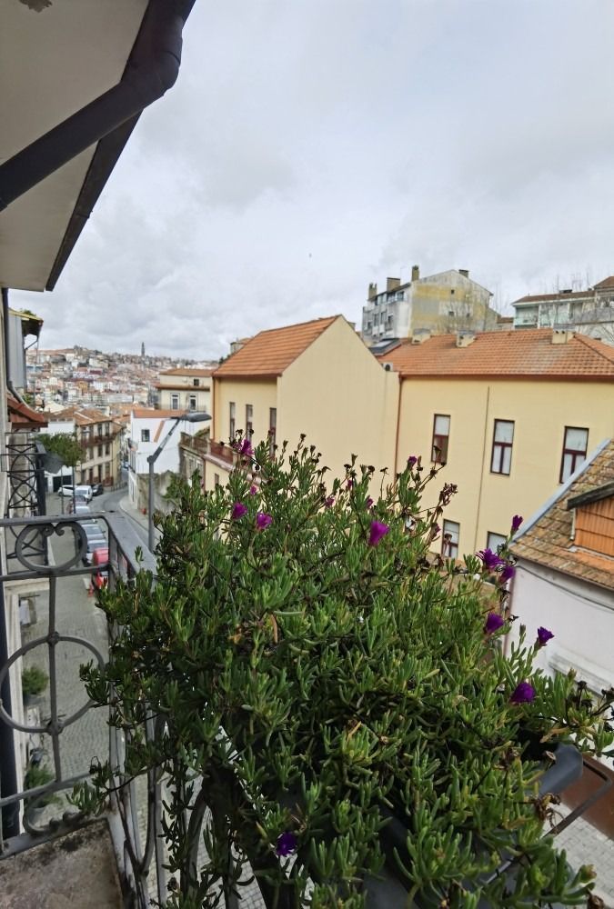 Balcony view over red-roofed buildings and cloudy sky, with potted greenery in the foreground