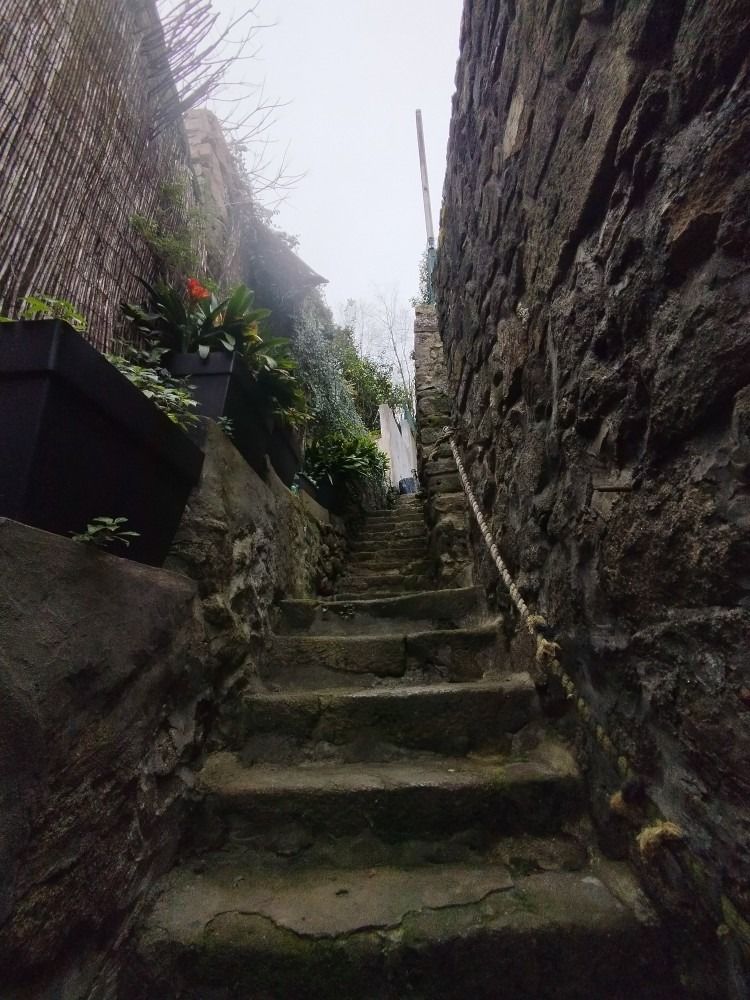 Narrow stone stairway between tall stone walls in a misty alley, with potted flowers on the left.