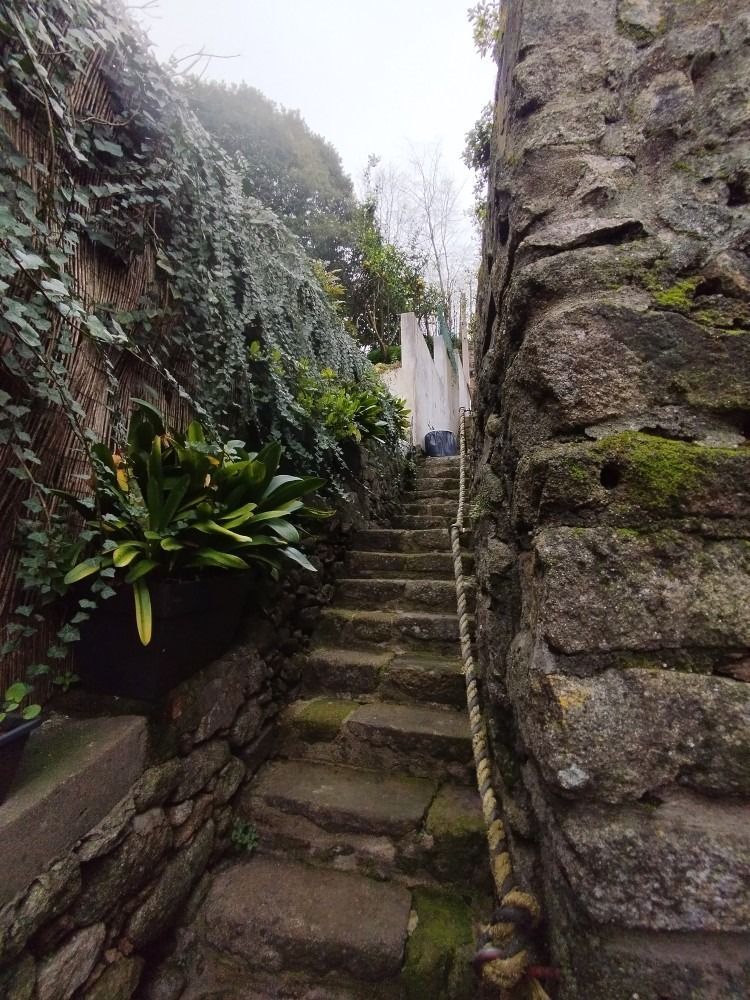 Narrow stone stairway between mossy rock walls, leading up to a bright doorway, with plants on the left.