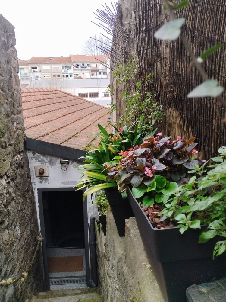 Stone stairway beside a narrow courtyard with potted plants and a red-tiled roof view below