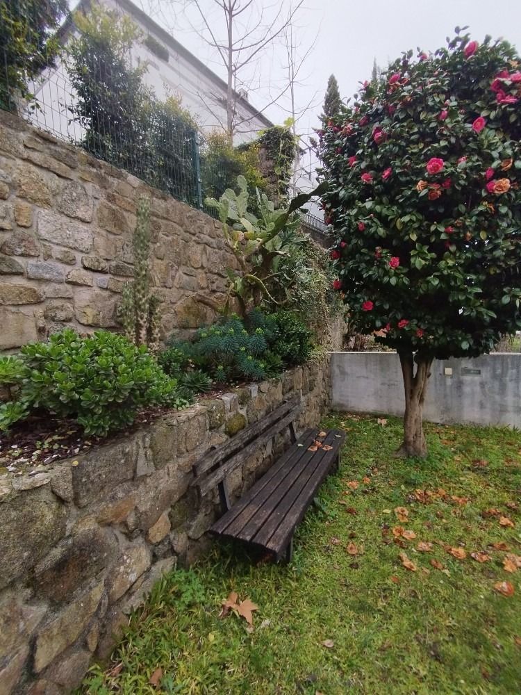 Stone garden wall with a wooden bench beside a flowering tree and green grass in a yard