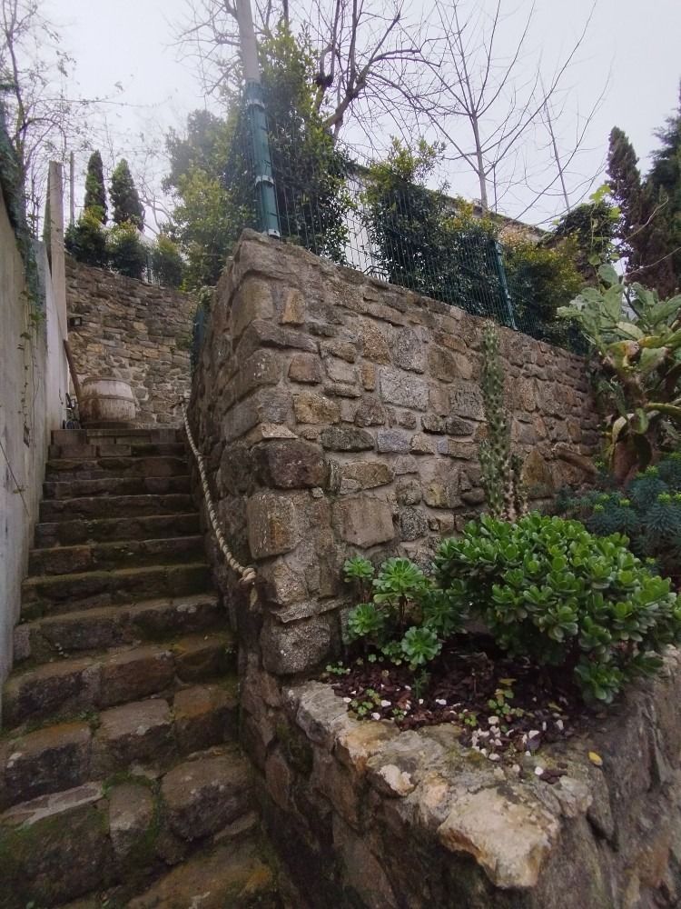 Stone garden steps beside a rough stone retaining wall and shrubs under bare trees