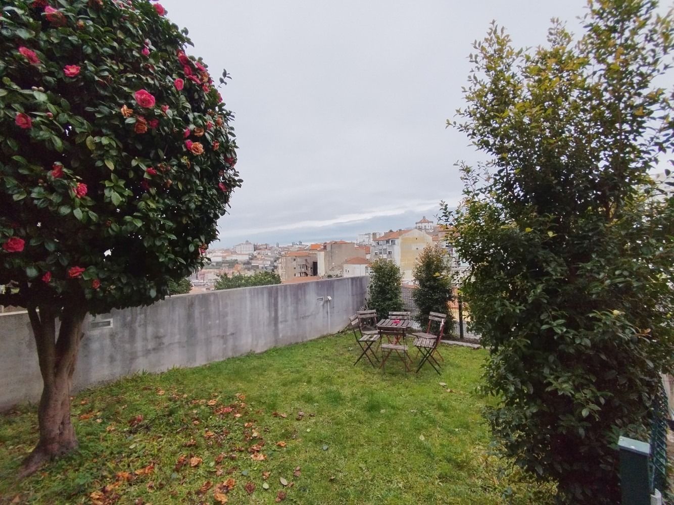 Backyard with grass, flowering tree, shrubs, patio table and chairs, and a concrete wall overlooking a distant town