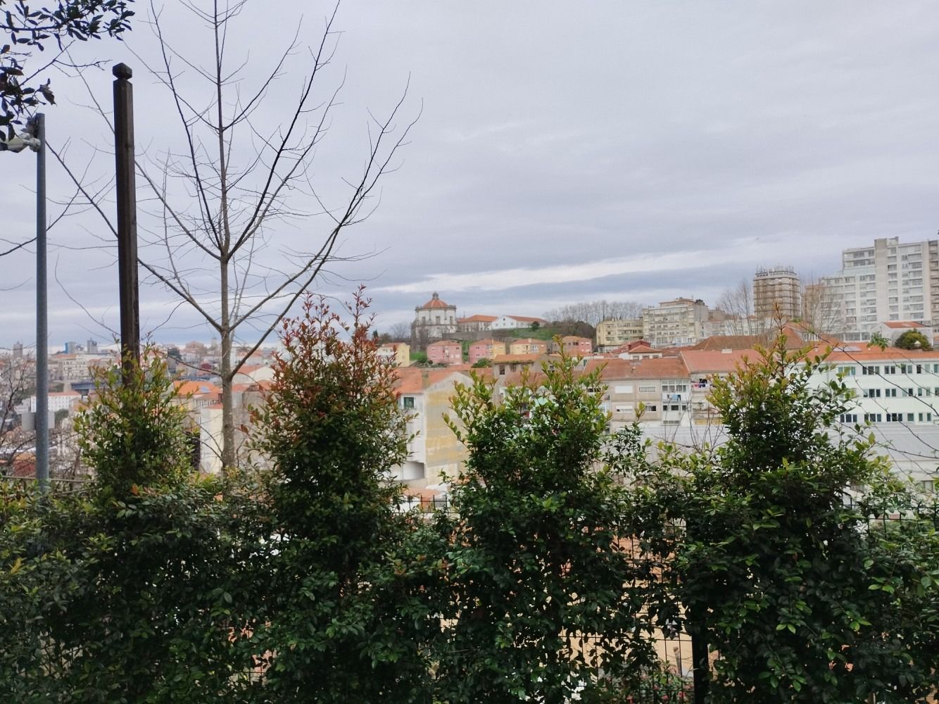 Cityscape with red-roofed buildings, distant apartments, bare trees, and a cloudy sky.