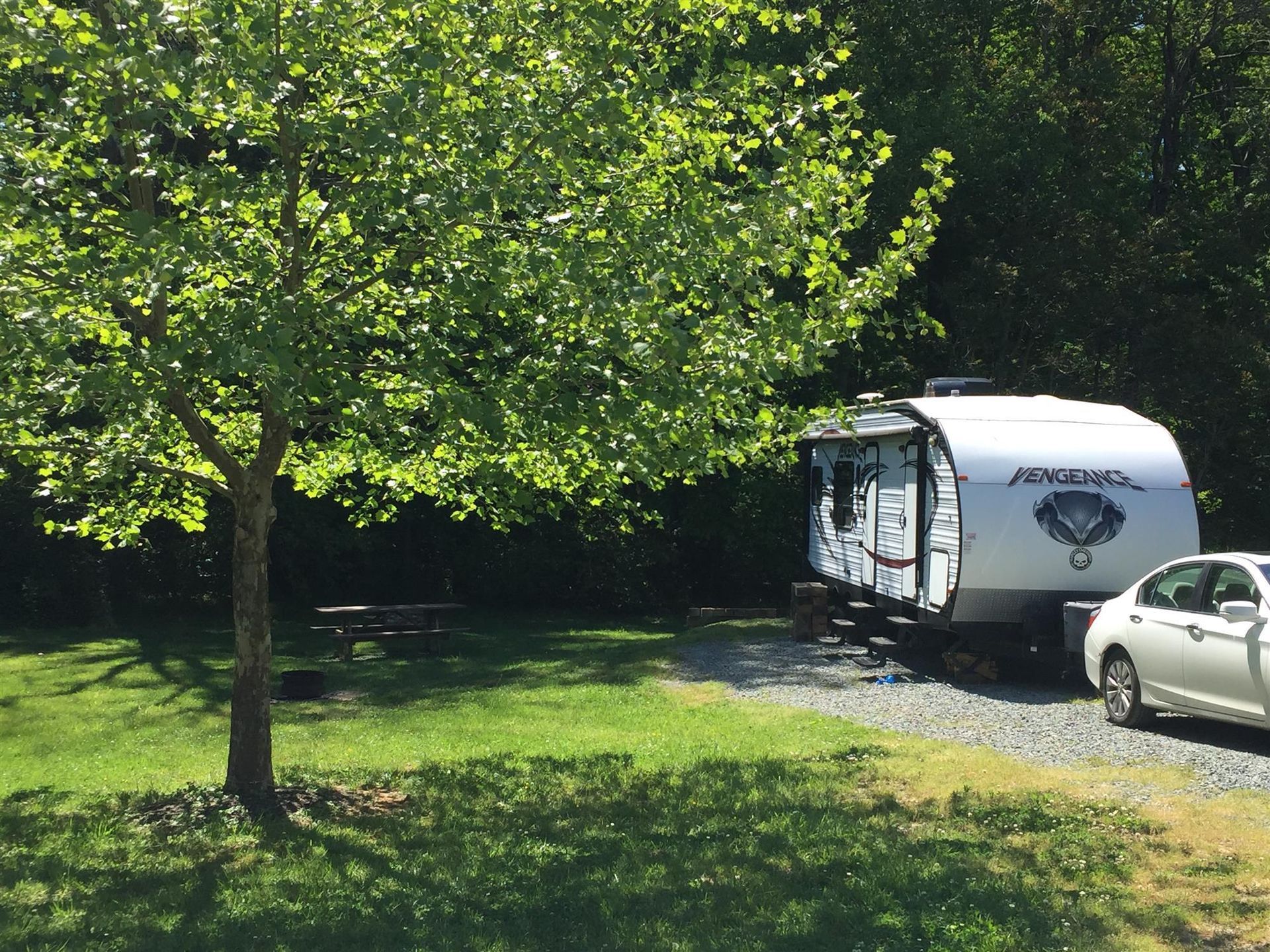 RV and car parked in a grassy campsite under a tree, with trees in the background.