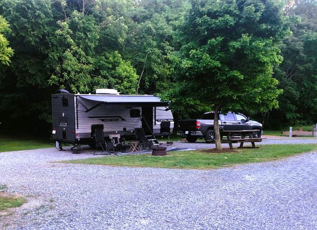 RV parked at a campsite with picnic table, surrounded by trees, on a sunny day.