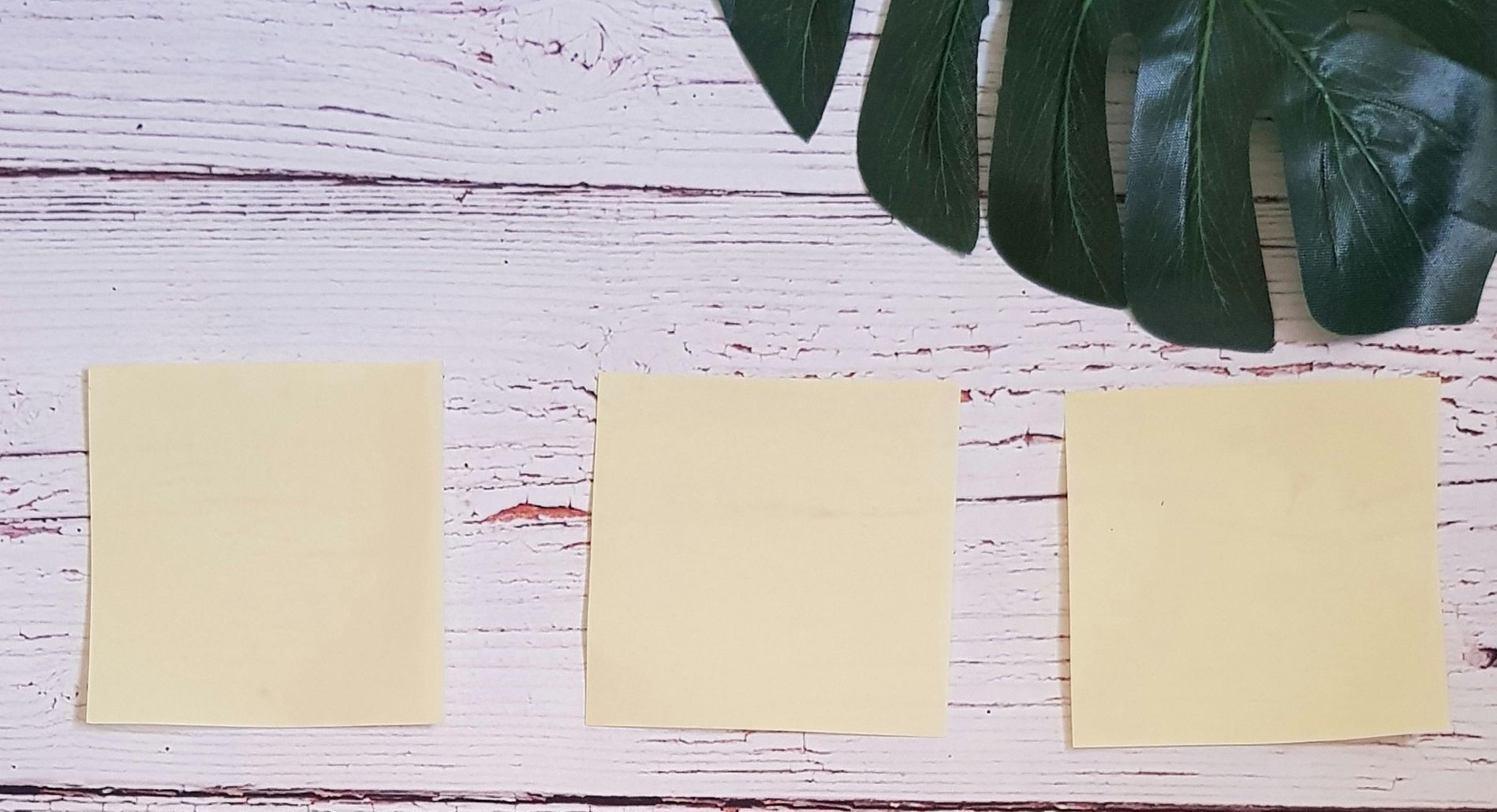 Three sticky notes are sitting on a wooden table next to a plant leaf.
