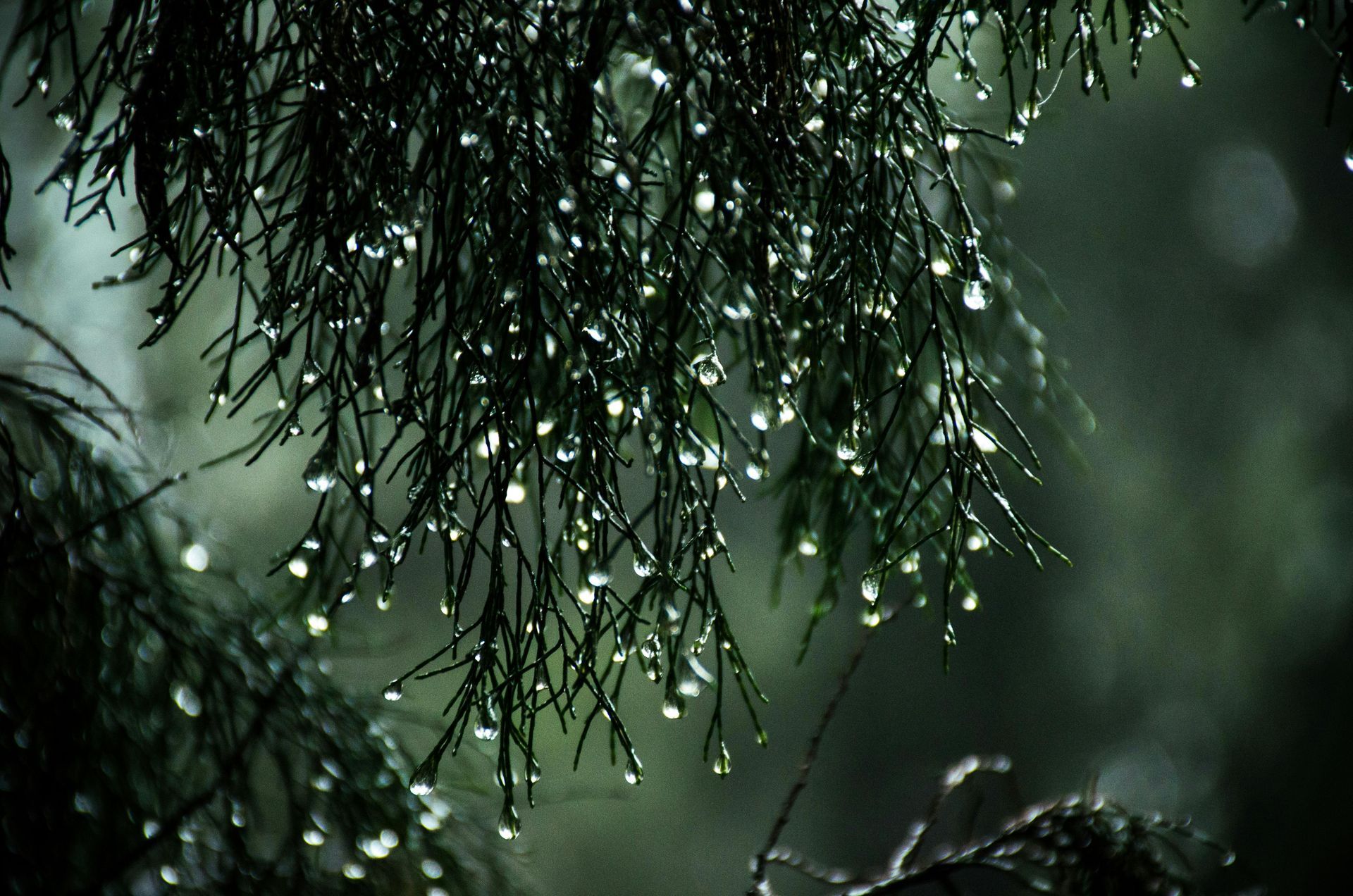 rain on Metal roofing