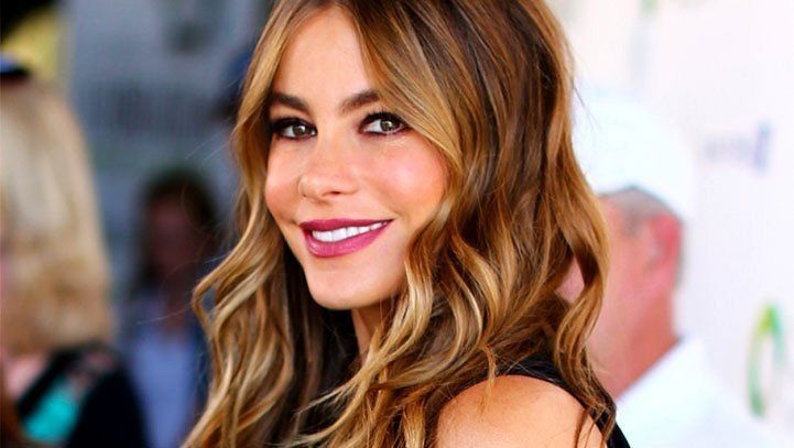 Custody Battle over Sofia Vergara’s Embryos
