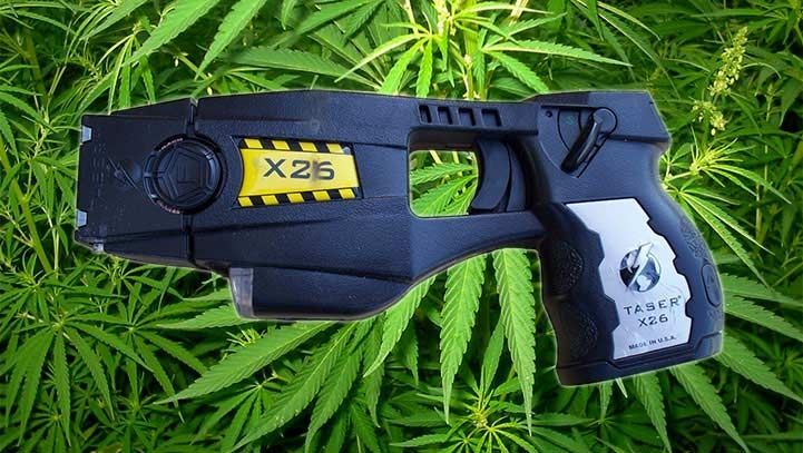 U.S. Supreme Court Refuses to Hear Marijuana and Stun Gun Cases
