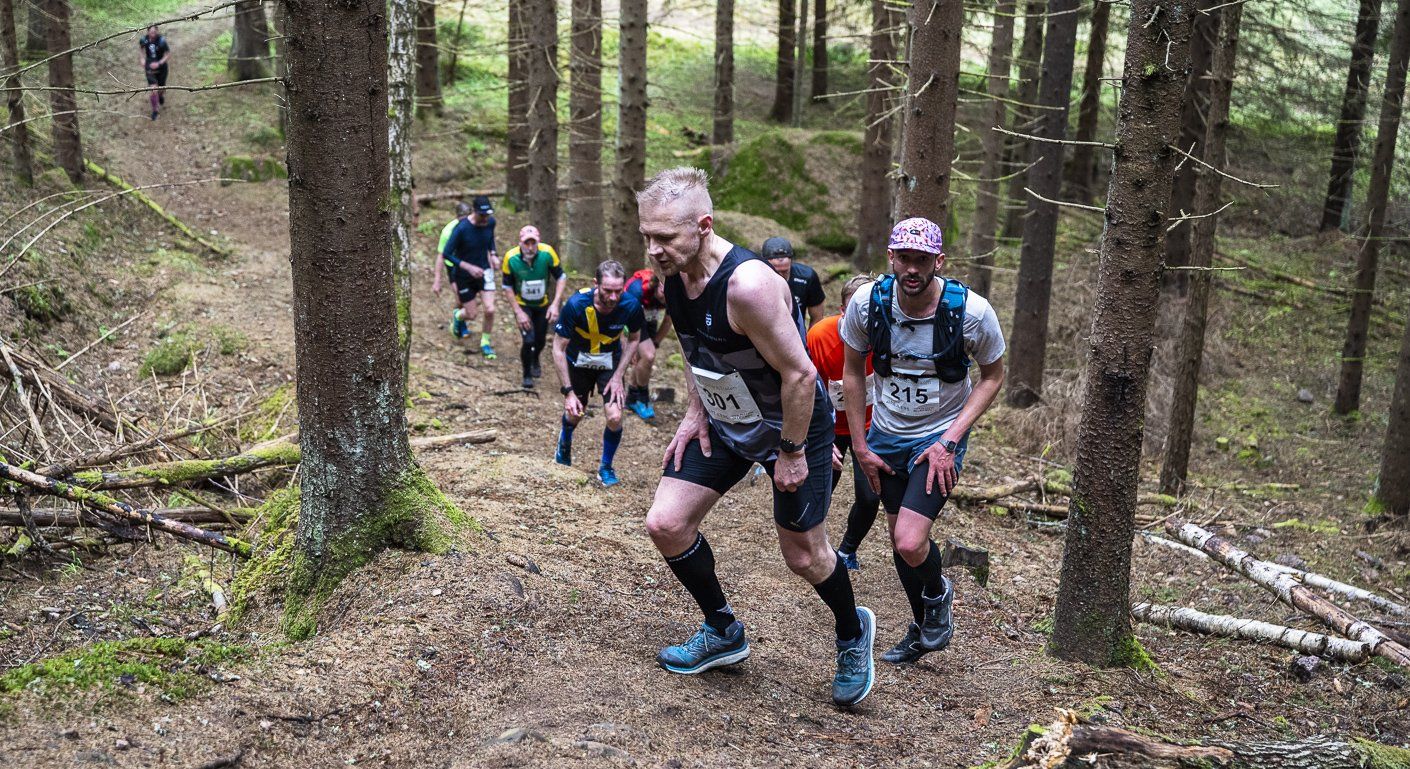 A group of people are running through a forest.