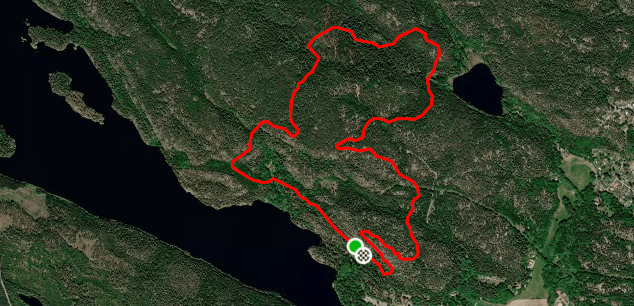 An aerial view of a forest with a red line going through it.