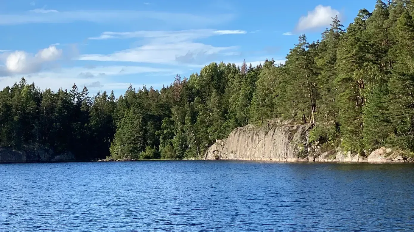 A large body of water surrounded by trees on a sunny day