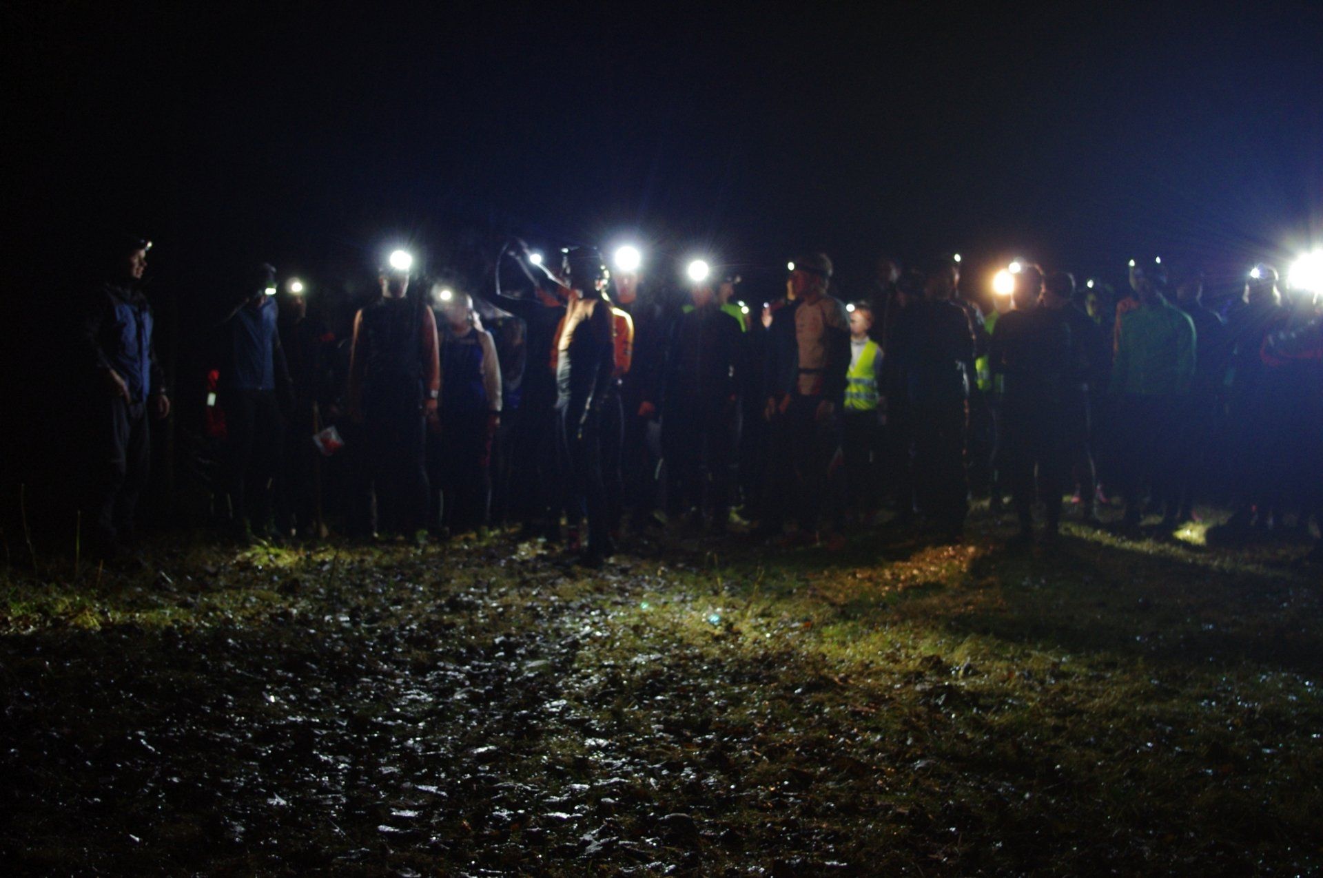 A group of people are standing in a field at night.