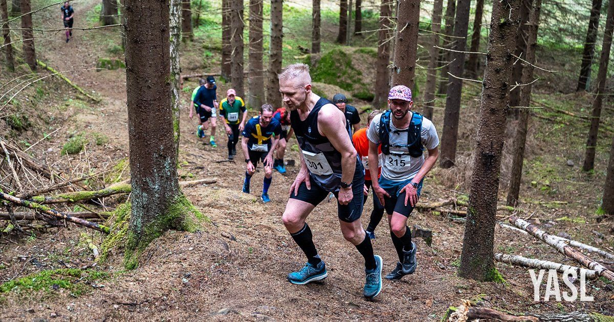 A group of people are running through the woods.