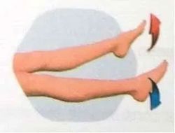 PIERNAS EXTENDIDAS