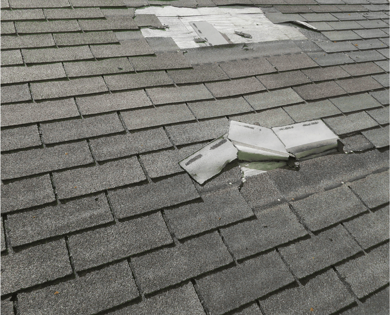 shingle roofing