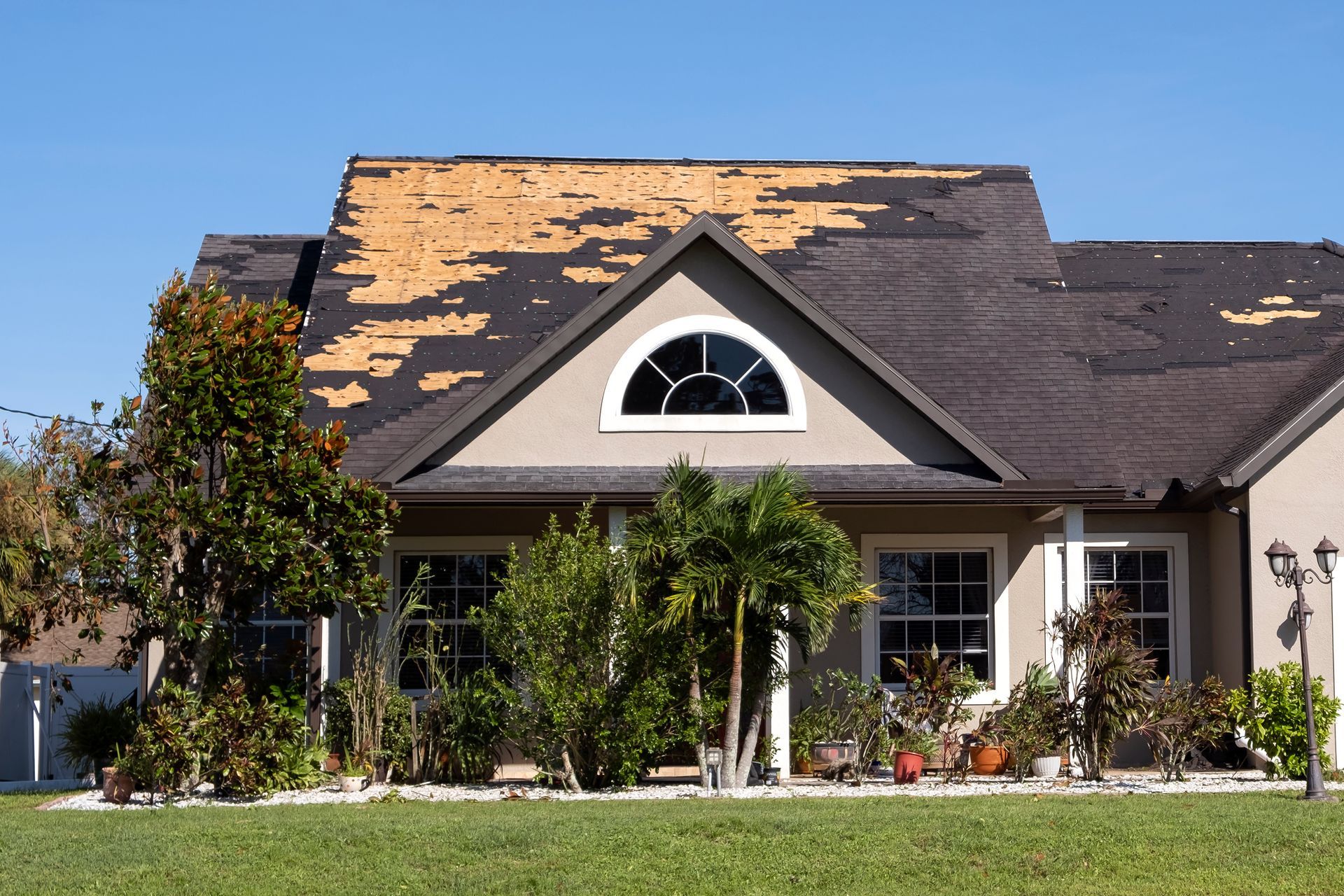 storm damage roof