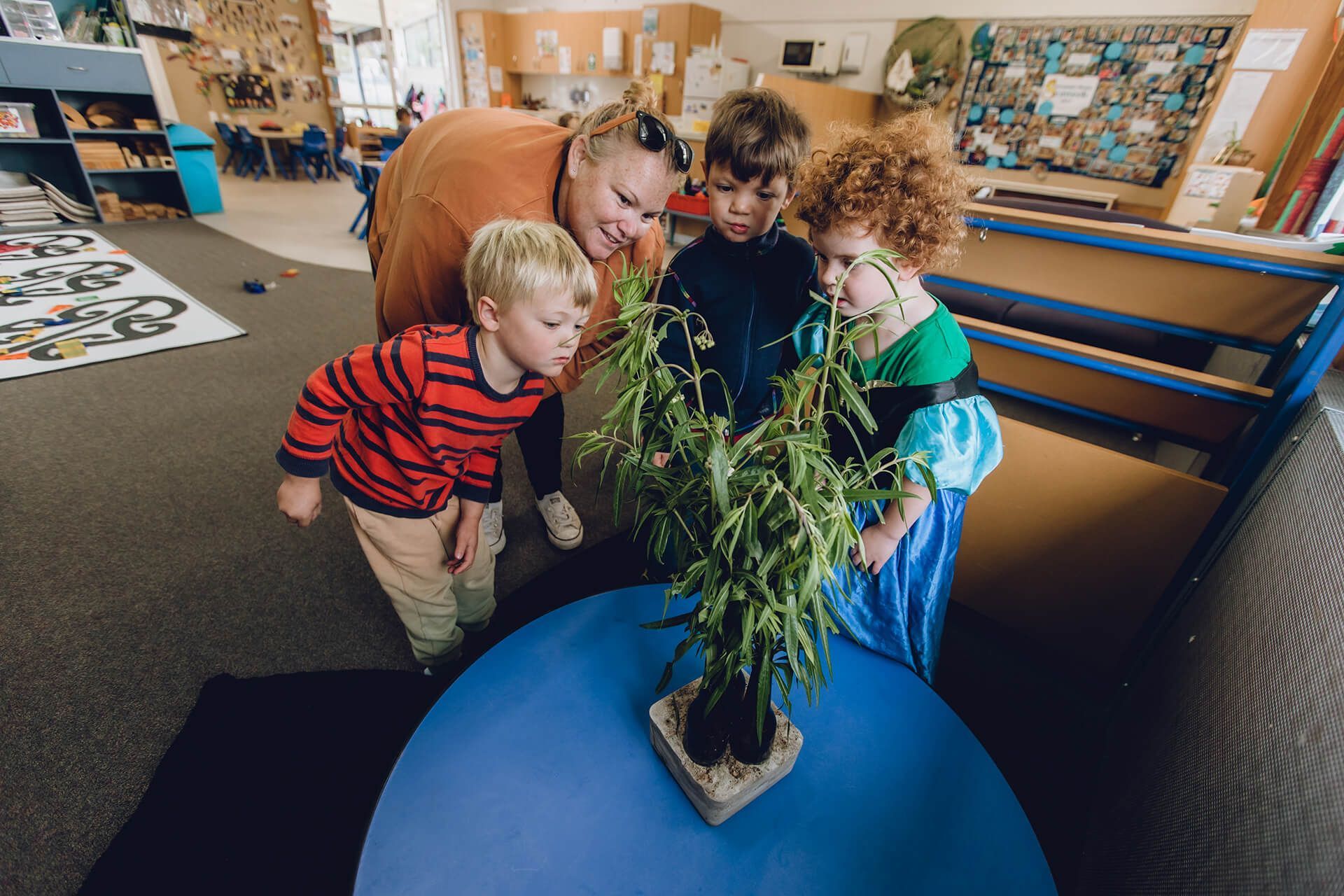 Waitohi Kindergarten in Picton, Marlborough, New Zealand