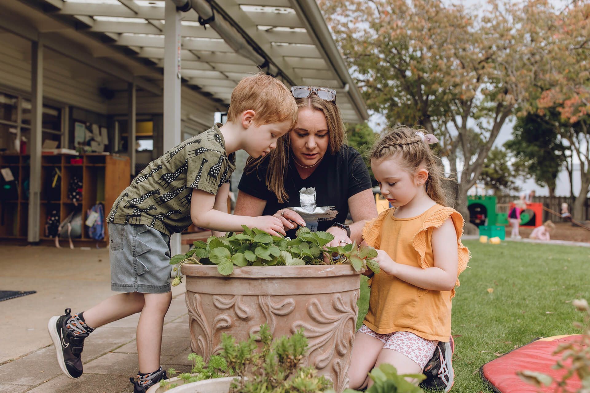 Witherlea Kindergarten in Marlborough, New Zealand