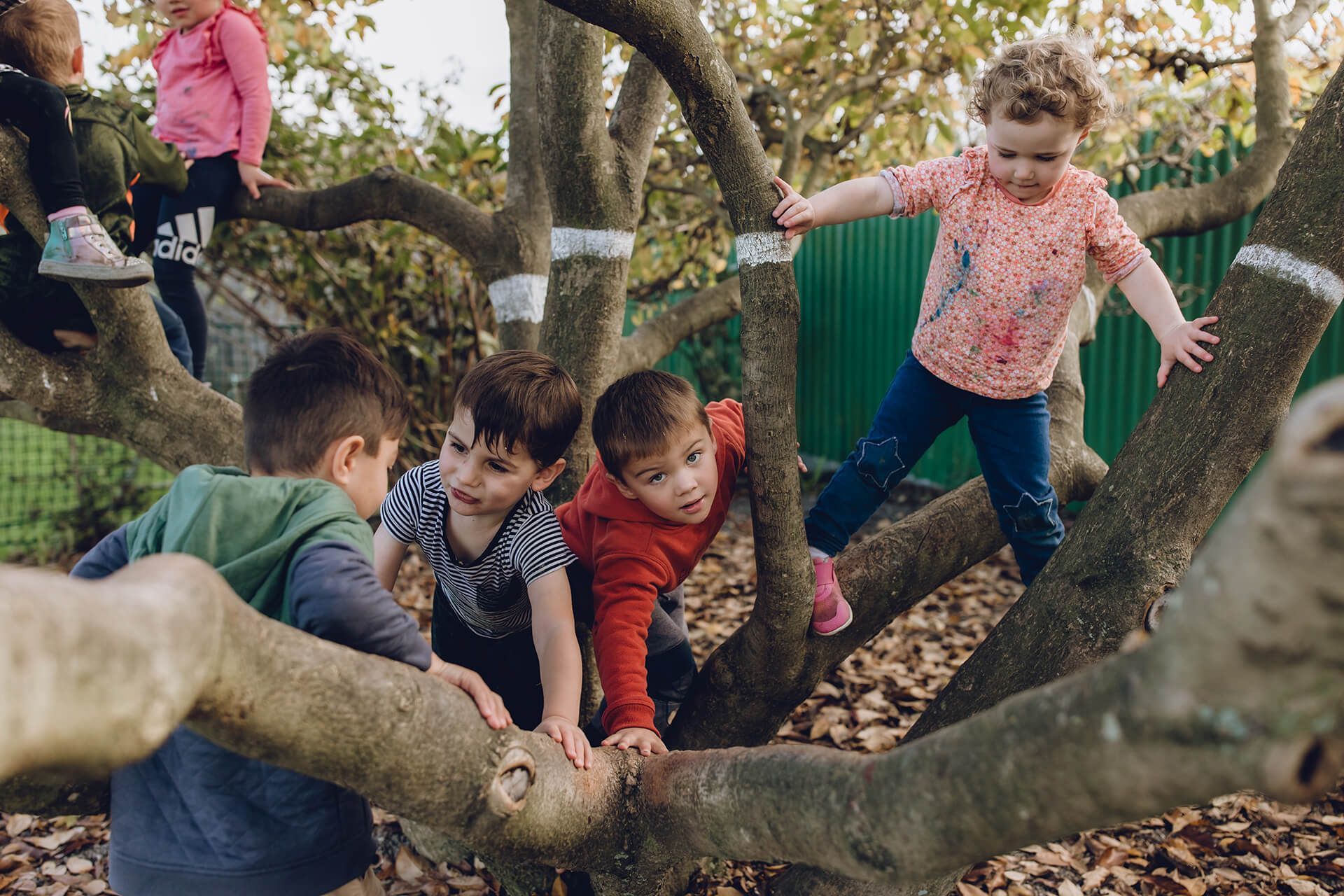 Mayfield Kindergarten in Marlborough, New Zealand