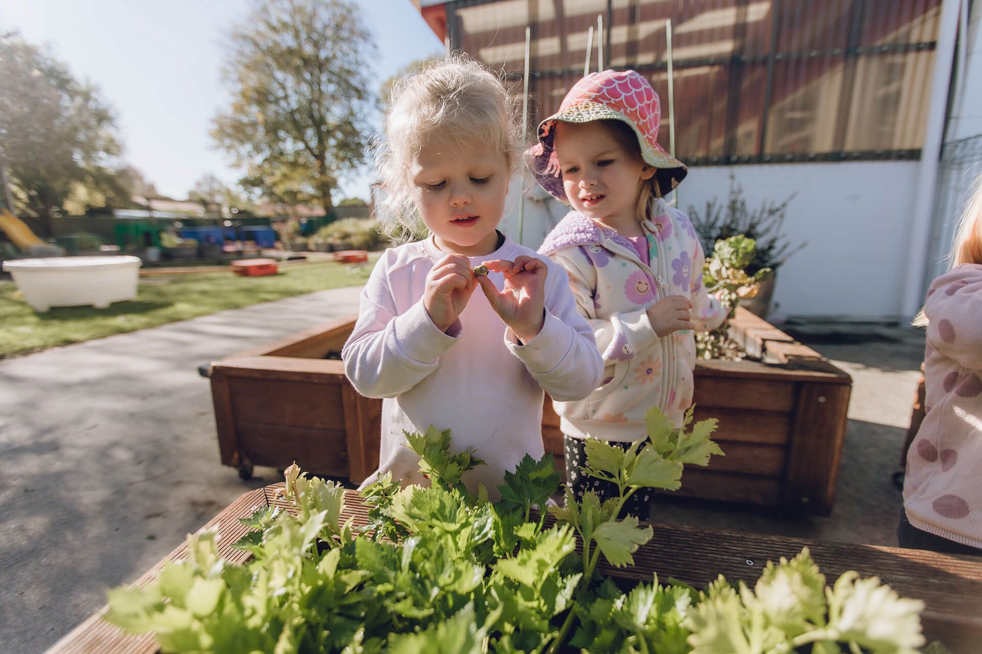 Springlands Kindergarten in Marlborough, New Zealand